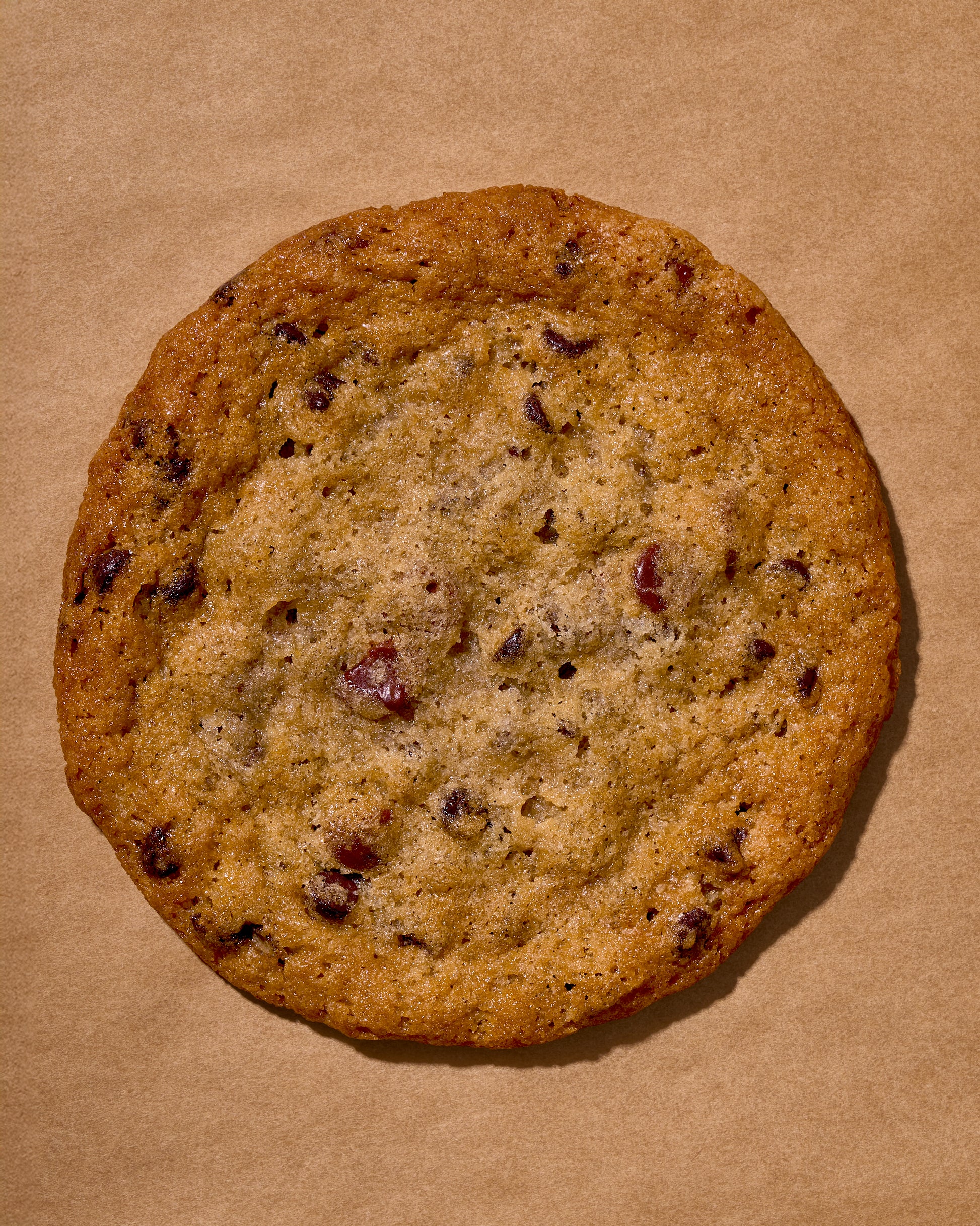 Chocolate Chip Cookie